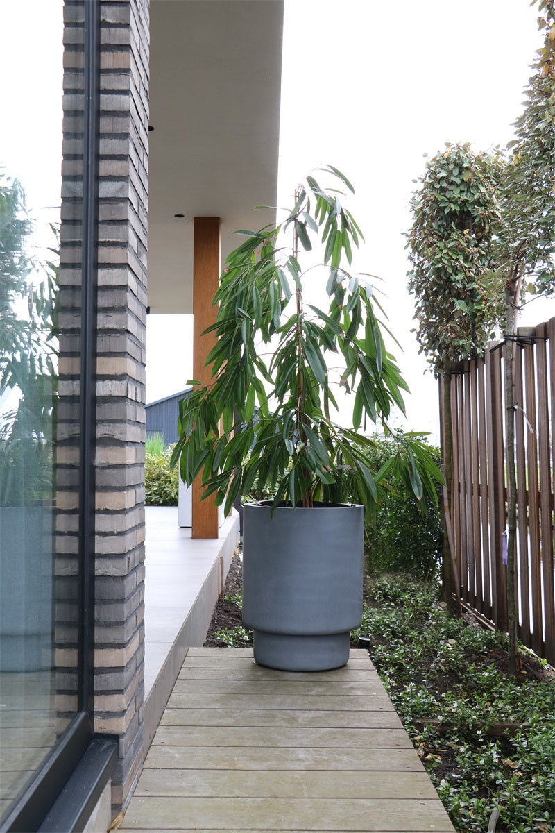 Pot Almstok L Ø50 x H65 cm Grey 2