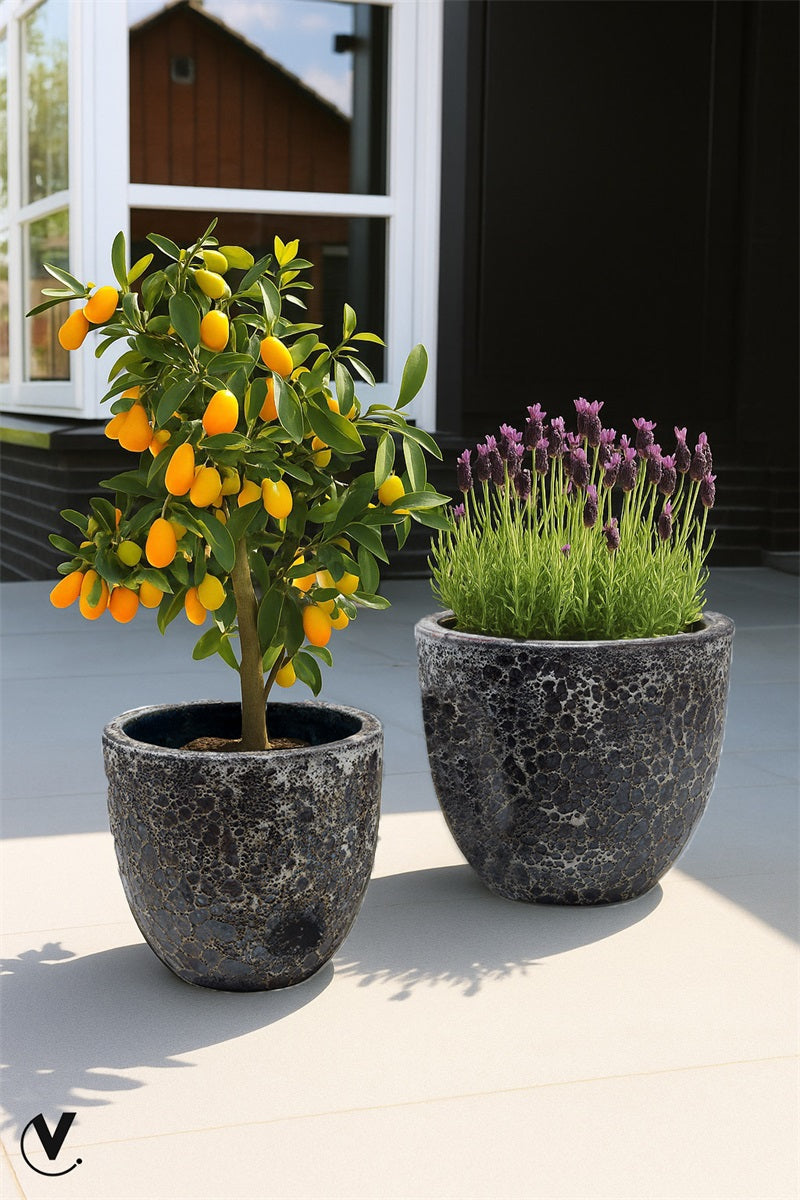 Pot Laki 2 stuks Ø36/35 x H34/25 cm Relic Black 2