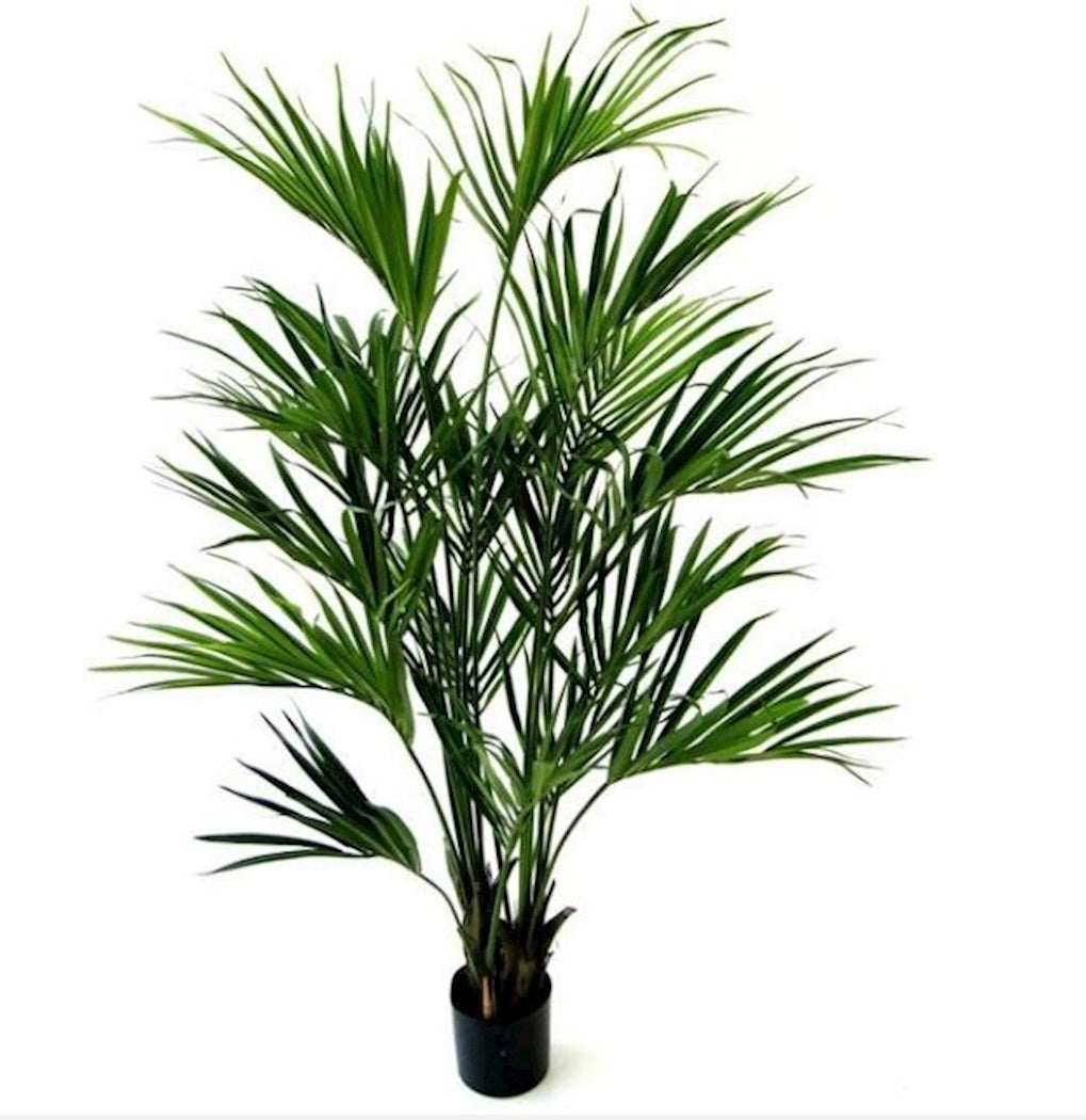Kunstplant Kentiapalm green H190 cm - te bestellen via info@vasetheworld.nl
