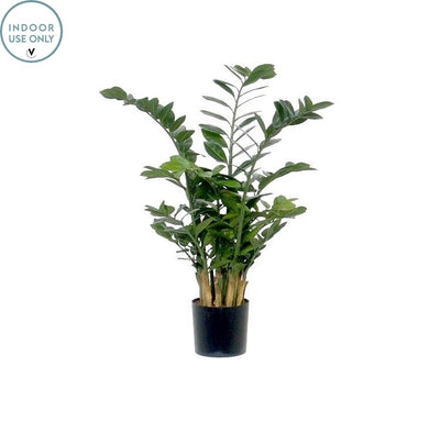 Kunstplant Zamioculcas green H100 cm