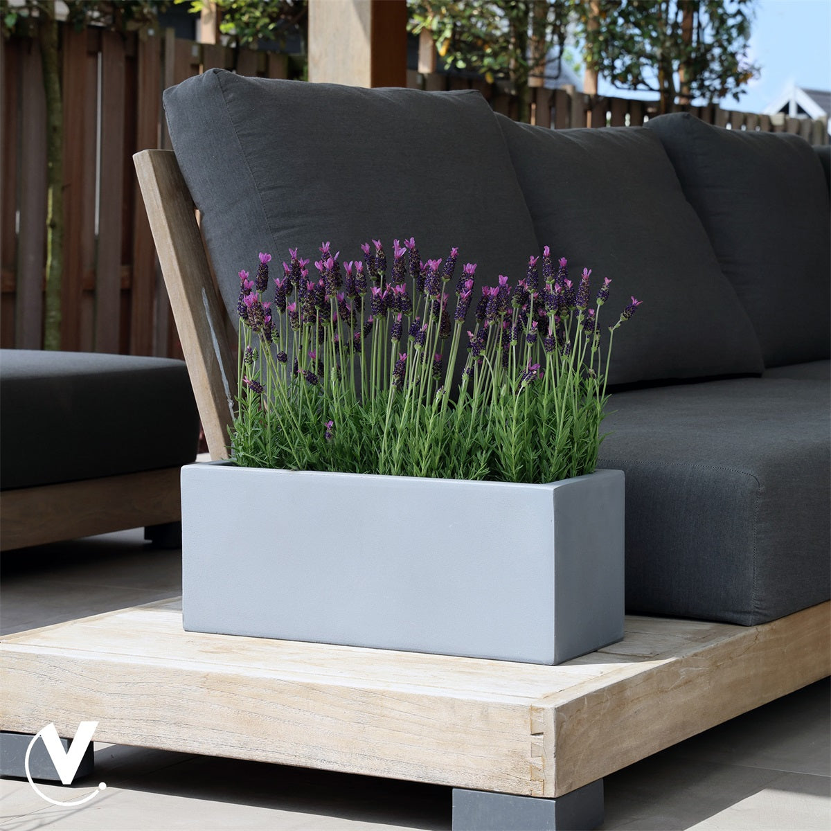 Pot Virginia S grey L50 x B20 x H20 cm 2 stuks