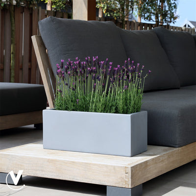 Pot Virginia S grey L50 x B20 x H20 cm 2 stuks