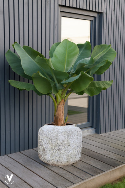 Pot Arenal relic beige Ø59 x H50 cm (Relic Beige Ø59 x H50 cm)