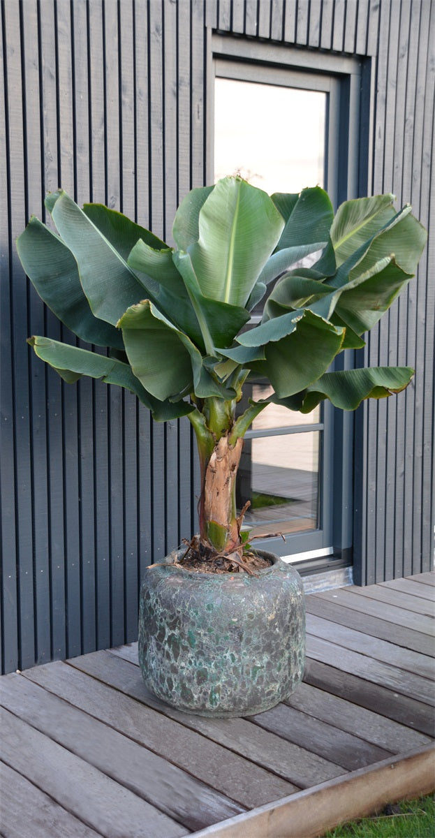 Pot Arenal M relic jade Ø59 x H50cm (Relic Jade Ø59 x H50cm)