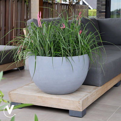 Pot Louisiana M grey Ø60 x H38 cm (Grey Ø60 x H38 cm)