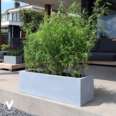 Pot Amazone L L100 x B30 x H30 cm Grey 2