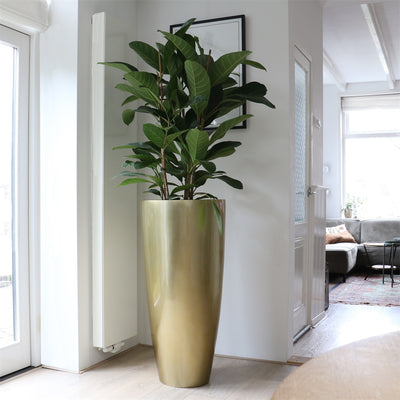 Pot Kentucky L gold Ø47 x H100 cm  (Gold Ø47 x H100 cm)