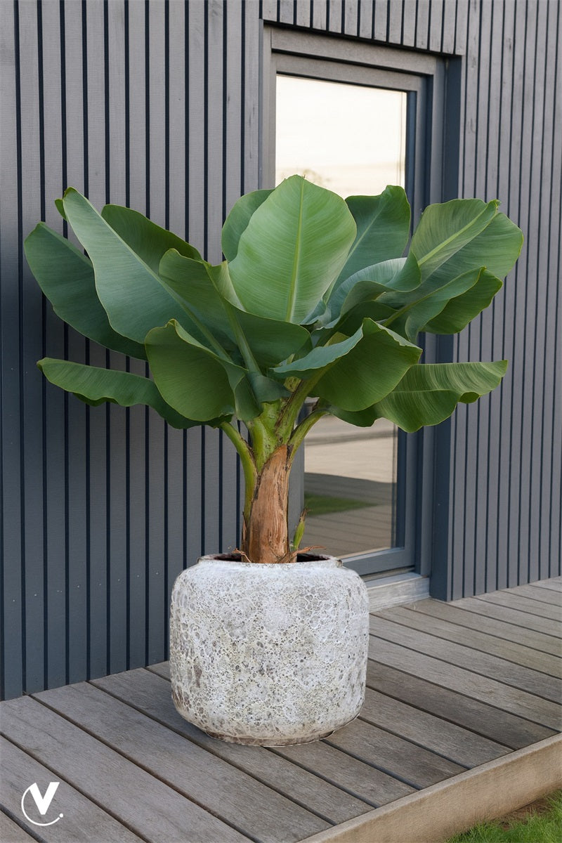 Pot Arenal M Ø59 x H50cm Relic Beige 2
